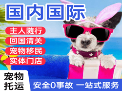 白云航空托运国际宠物托运 【国